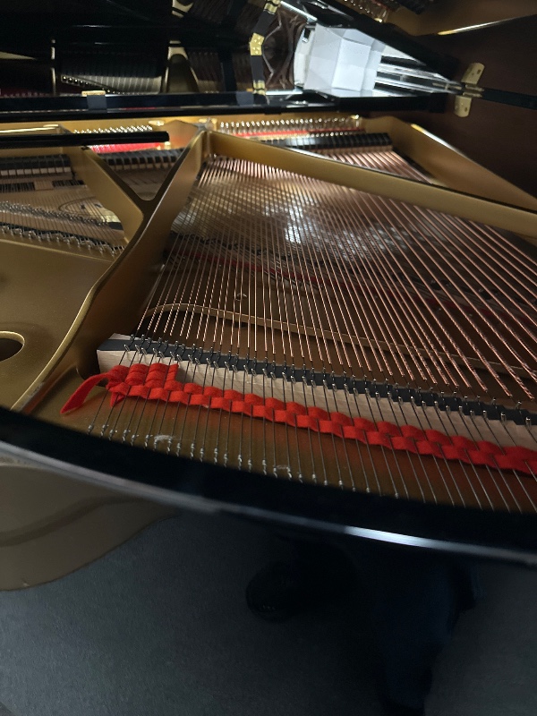 Additional image for Kawai GL-30